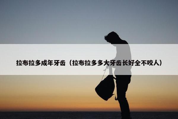 拉布拉多成年牙齿（拉布拉多多大牙齿长好全不咬人）