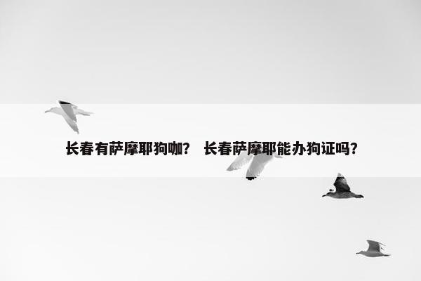长春有萨摩耶狗咖？ 长春萨摩耶能办狗证吗？