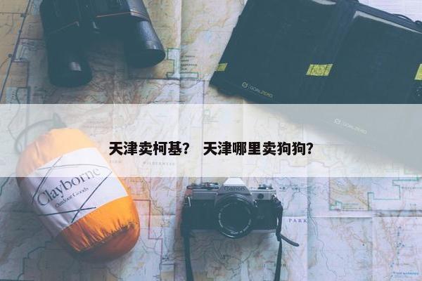天津卖柯基？ 天津哪里卖狗狗？