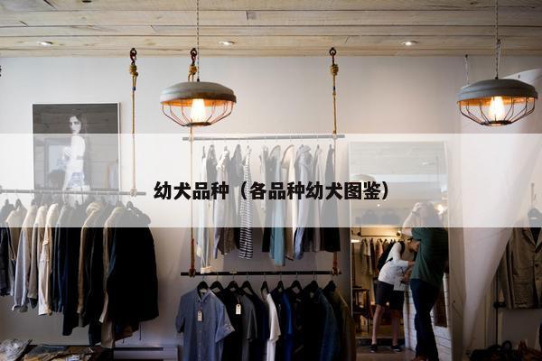 幼犬品种（各品种幼犬图鉴）