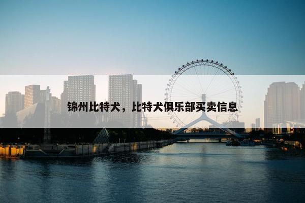 锦州比特犬，比特犬俱乐部买卖信息