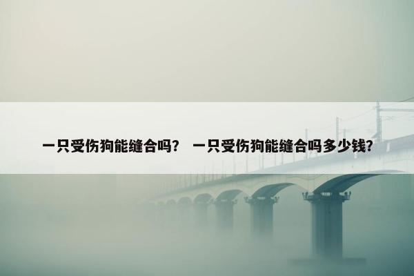 一只受伤狗能缝合吗？ 一只受伤狗能缝合吗多少钱？