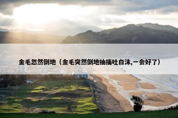 金毛忽然倒地（金毛突然倒地抽搐吐白沫,一会好了）
