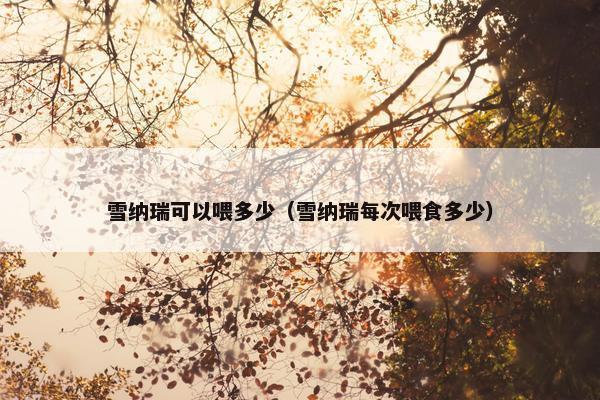 雪纳瑞可以喂多少（雪纳瑞每次喂食多少）