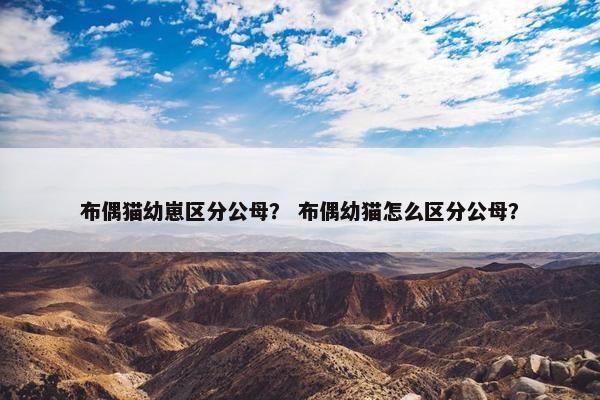 布偶猫幼崽区分公母？ 布偶幼猫怎么区分公母？
