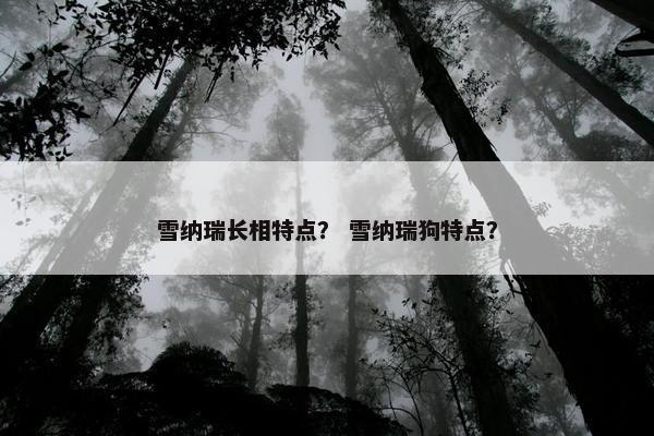 雪纳瑞长相特点？ 雪纳瑞狗特点？