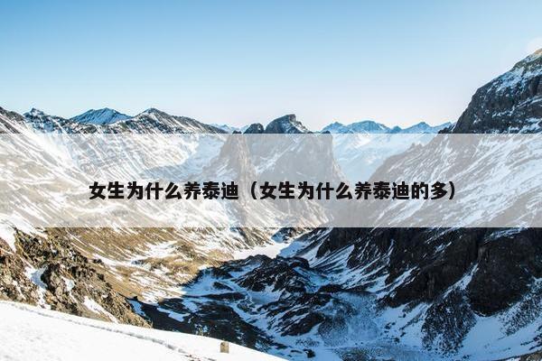 女生为什么养泰迪（女生为什么养泰迪的多）