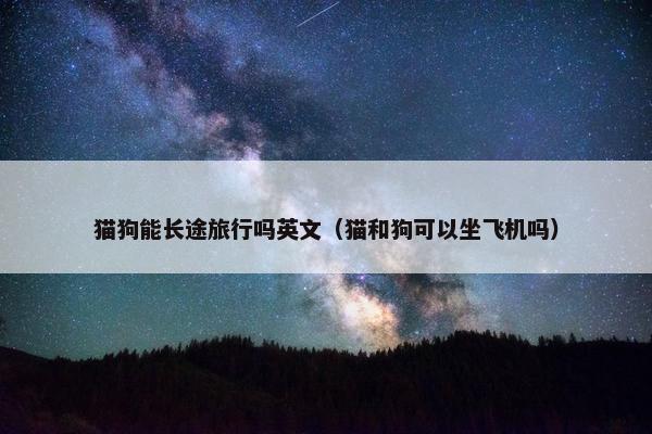 猫狗能长途旅行吗英文（猫和狗可以坐飞机吗）
