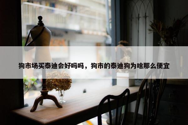 狗市场买泰迪会好吗吗，狗市的泰迪狗为啥那么便宜