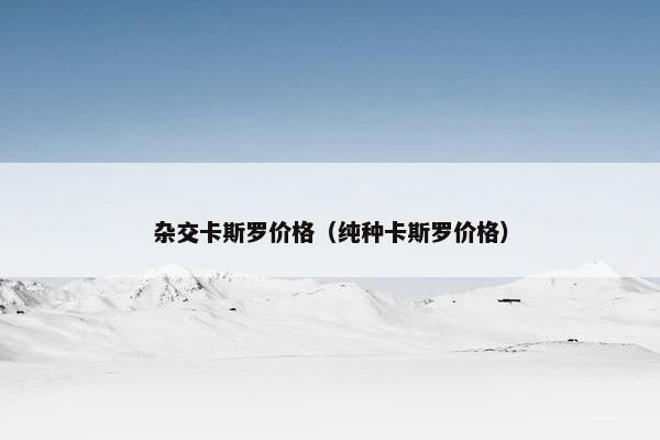 杂交卡斯罗价格（纯种卡斯罗价格）