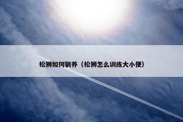 松狮如何驯养（松狮怎么训练大小便）