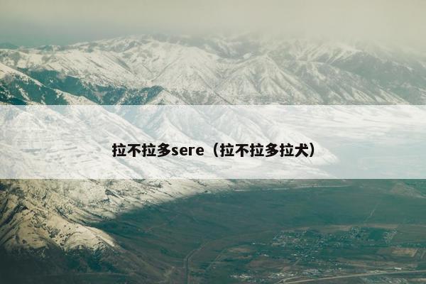 拉不拉多sere（拉不拉多拉犬）