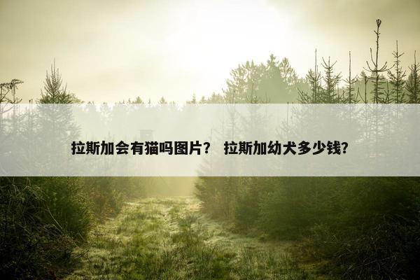 拉斯加会有猫吗图片？ 拉斯加幼犬多少钱？