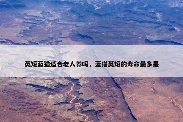 英短蓝猫适合老人养吗，蓝猫英短的寿命最多是