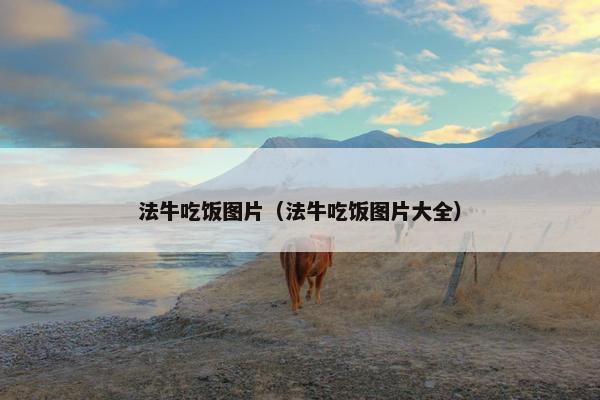 法牛吃饭图片（法牛吃饭图片大全）
