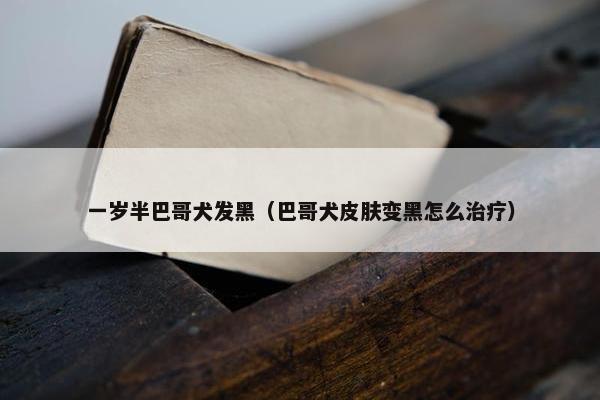 一岁半巴哥犬发黑（巴哥犬皮肤变黑怎么治疗）