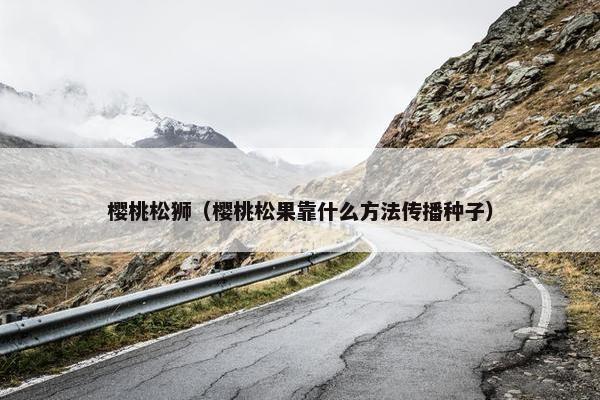 樱桃松狮（樱桃松果靠什么方法传播种子）