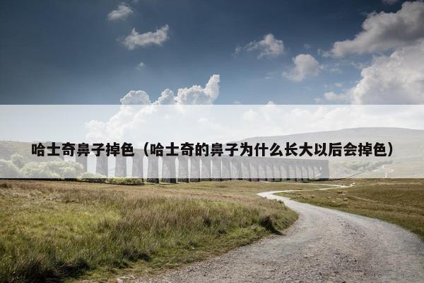 哈士奇鼻子掉色（哈士奇的鼻子为什么长大以后会掉色）