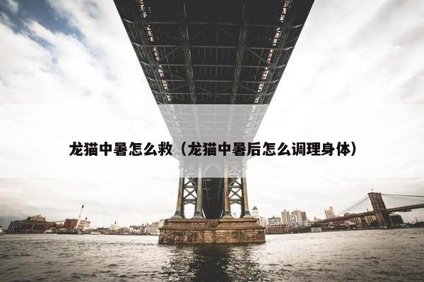 龙猫中暑怎么救（龙猫中暑后怎么调理身体）