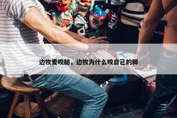 边牧爱咬腿，边牧为什么咬自己的脚