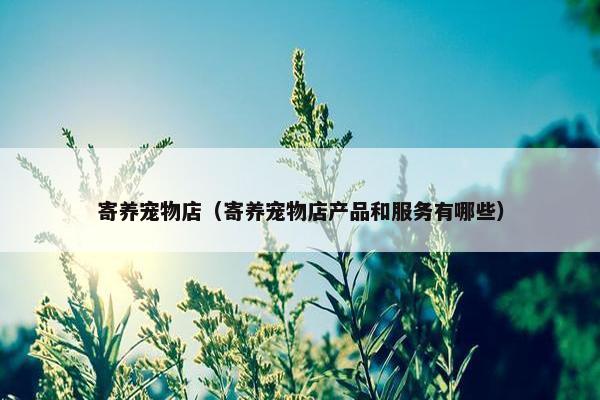 寄养宠物店（寄养宠物店产品和服务有哪些）