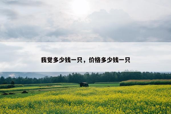 我觉多少钱一只，价格多少钱一只