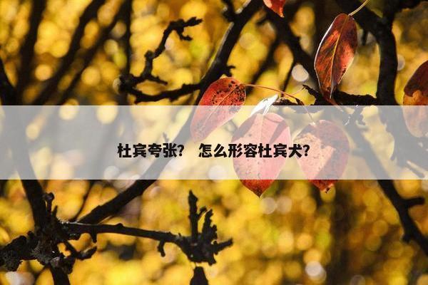 杜宾夸张？ 怎么形容杜宾犬？