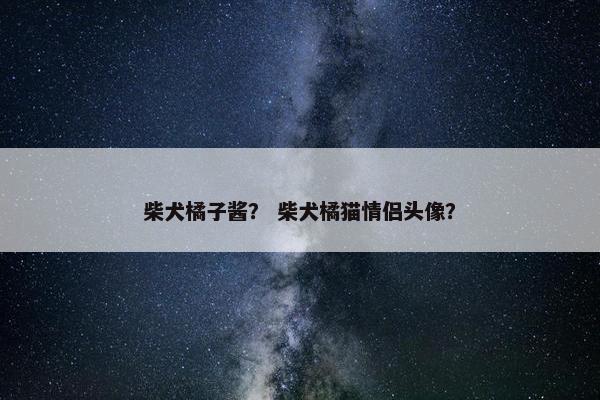 柴犬橘子酱？ 柴犬橘猫情侣头像？