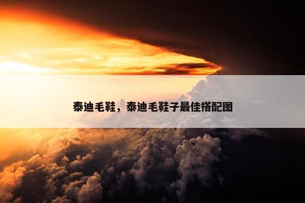 泰迪毛鞋，泰迪毛鞋子最佳搭配图