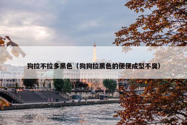 狗拉不拉多黑色（狗狗拉黑色的便便成型不臭）