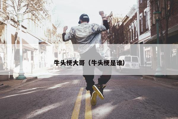 牛头梗大哥（牛头梗是谁）