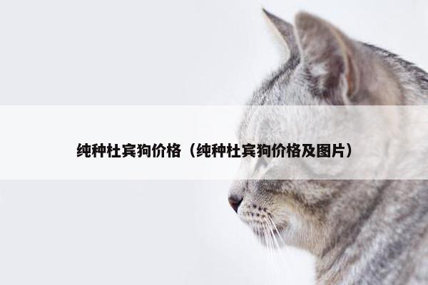 纯种杜宾狗价格（纯种杜宾狗价格及图片）
