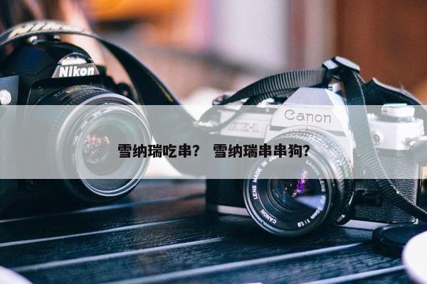 雪纳瑞吃串？ 雪纳瑞串串狗？