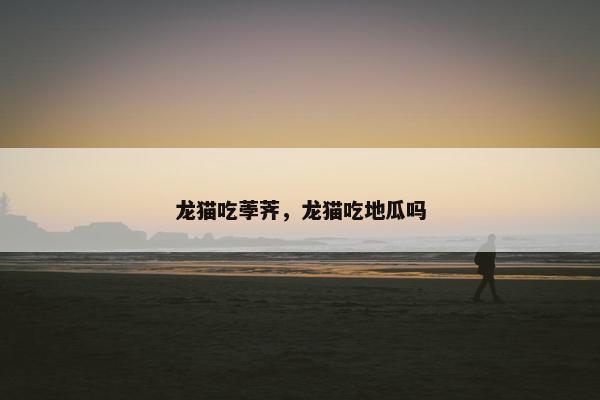 龙猫吃荸荠，龙猫吃地瓜吗