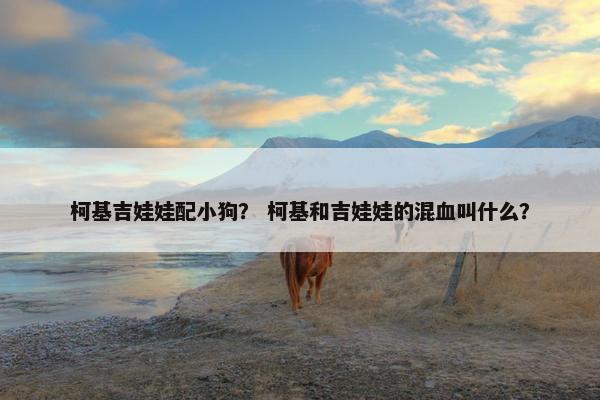 柯基吉娃娃配小狗？ 柯基和吉娃娃的混血叫什么？