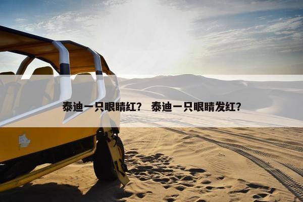 泰迪一只眼睛红？ 泰迪一只眼睛发红？