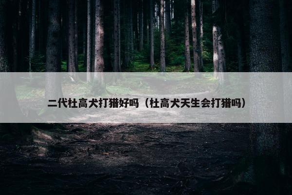 二代杜高犬打猎好吗（杜高犬天生会打猎吗）