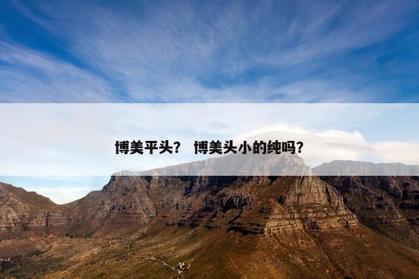博美平头？ 博美头小的纯吗？