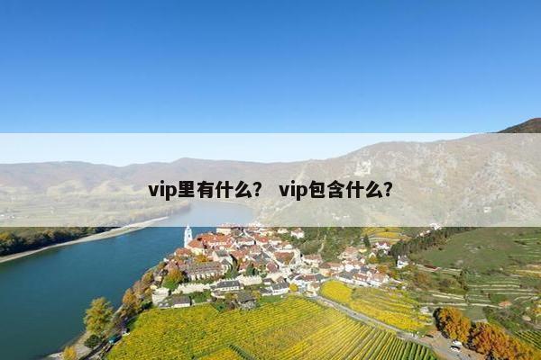 vip里有什么？ vip包含什么？