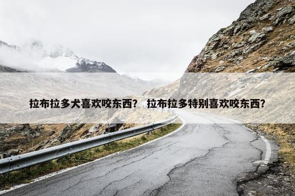 拉布拉多犬喜欢咬东西？ 拉布拉多特别喜欢咬东西？