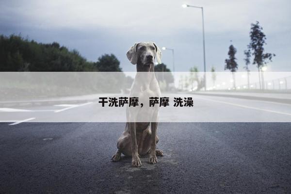 干洗萨摩，萨摩 洗澡