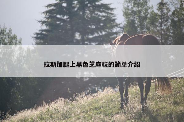 拉斯加腿上黑色芝麻粒的简单介绍