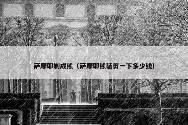 萨摩耶剃成熊（萨摩耶熊装剪一下多少钱）