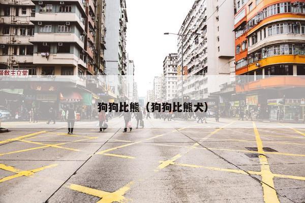 狗狗比熊（狗狗比熊犬）