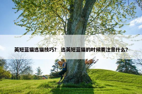 英短蓝猫选猫技巧？ 选英短蓝猫的时候要注意什么？