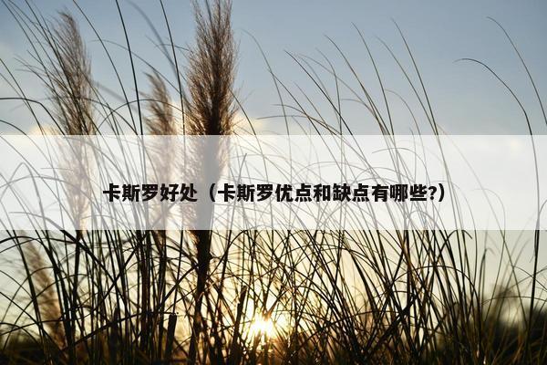 卡斯罗好处（卡斯罗优点和缺点有哪些?）