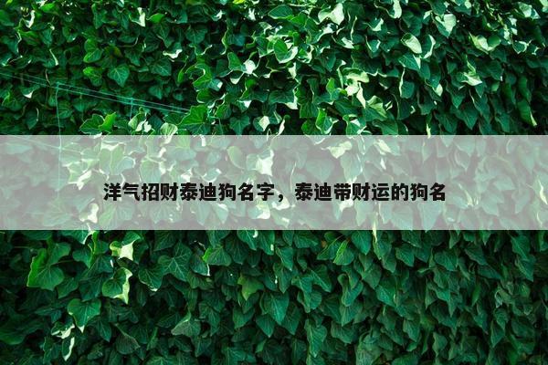 洋气招财泰迪狗名字，泰迪带财运的狗名