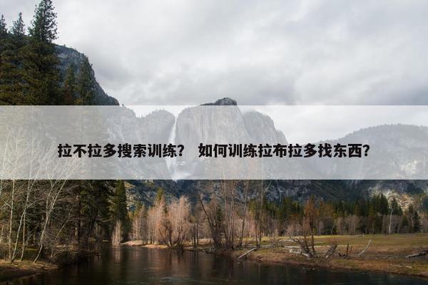 拉不拉多搜索训练？ 如何训练拉布拉多找东西？