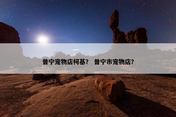 普宁宠物店柯基？ 普宁市宠物店？