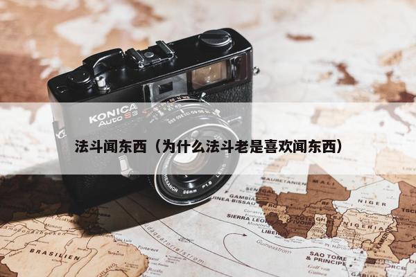 法斗闻东西（为什么法斗老是喜欢闻东西）